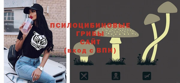 хмурый Дмитриев