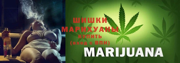хмурый Дмитриев