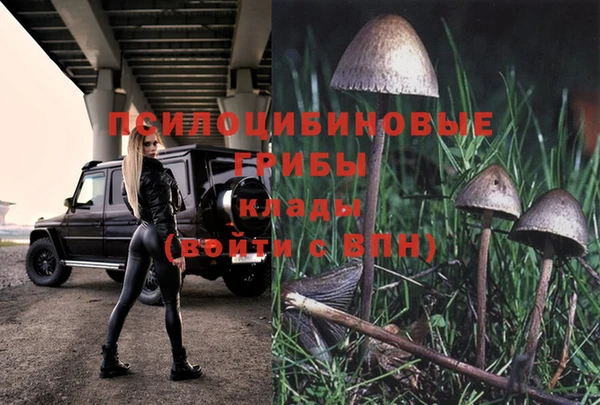 хмурый Дмитриев