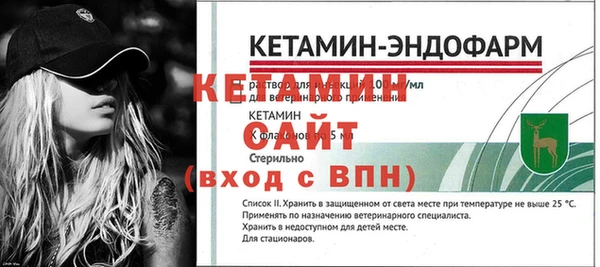 хмурый Дмитриев